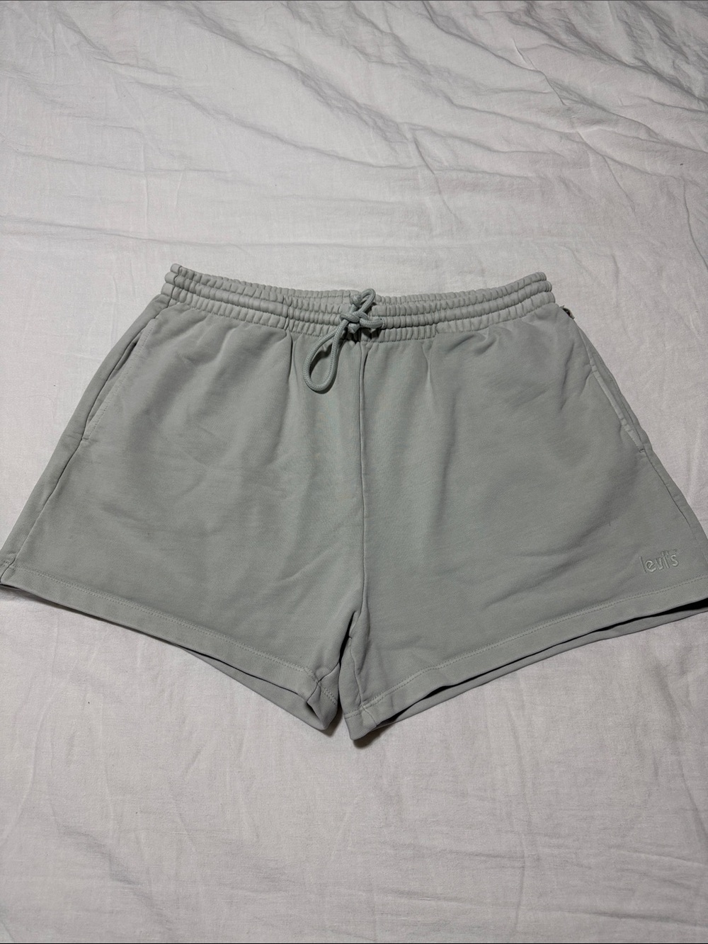 Levi’s Oversized French Terry Shorts, Light Sage, Size Large